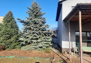 Дача 168м&sup2;, 2-этажный, участок 6 сот.  